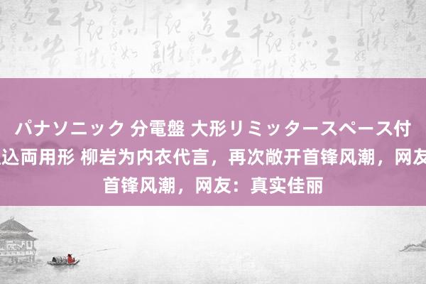 パナソニック 分電盤 大形リミッタースペース付 露出・半埋込両用形 柳岩为内衣代言，再次敞开首锋风潮，网友：真实佳丽