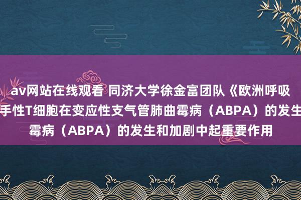 av网站在线观看 同济大学徐金富团队《欧洲呼吸杂志》发文：外周援手性T细胞在变应性支气管肺曲霉病（ABPA）的发生和加剧中起重要作用