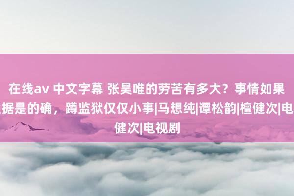 在线av 中文字幕 张昊唯的劳苦有多大？事情如果被证据是的确，蹲监狱仅仅小事|马想纯|谭松韵|檀健次|电视剧