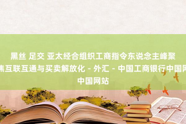 黑丝 足交 亚太经合组织工商指令东说念主峰聚积焦互联互通与买卖解放化－外汇－中国工商银行中国网站