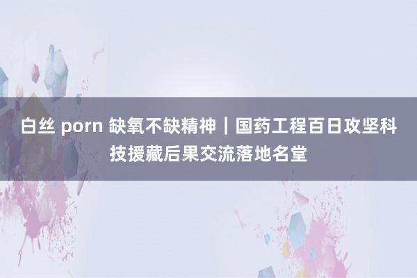 白丝 porn 缺氧不缺精神｜国药工程百日攻坚科技援藏后果交流落地名堂