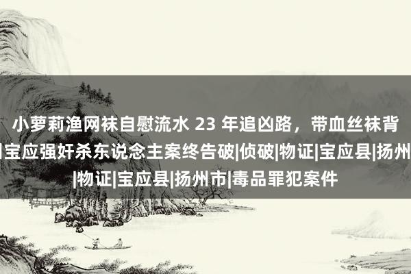 小萝莉渔网袜自慰流水 23 年追凶路，带血丝袜背后的真相——扬州宝应强奸杀东说念主案终告破|侦破|物证|宝应县|扬州市|毒品罪犯案件