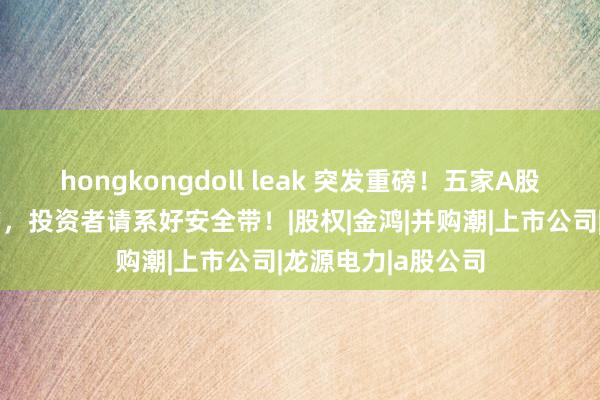 hongkongdoll leak 突发重磅！五家A股公司皆发并购音书，投资者请系好安全带！|股权|金鸿|并购潮|上市公司|龙源电力|a股公司