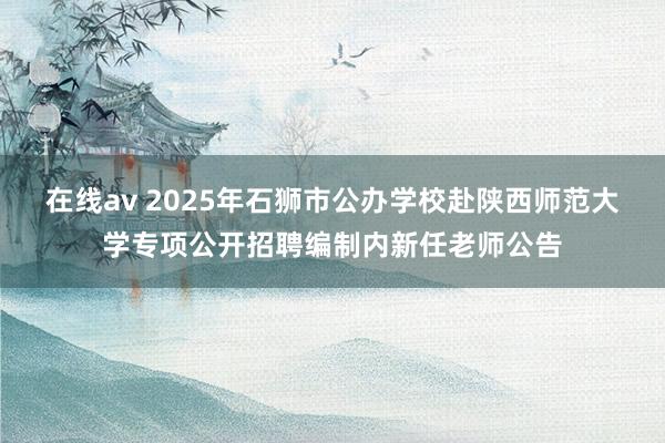 在线av 2025年石狮市公办学校赴陕西师范大学专项公开招聘编制内新任老师公告