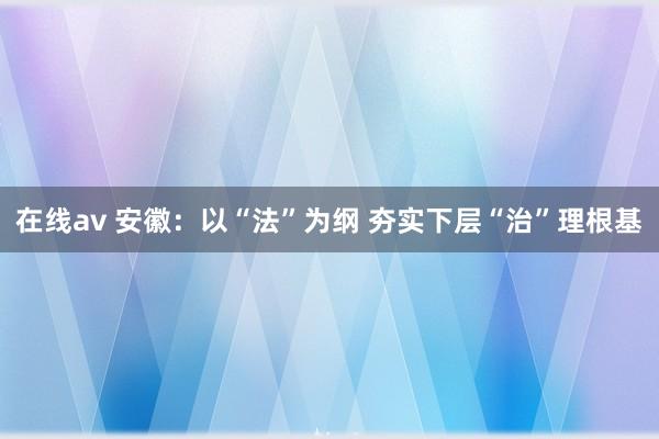 在线av 安徽：以“法”为纲 夯实下层“治”理根基