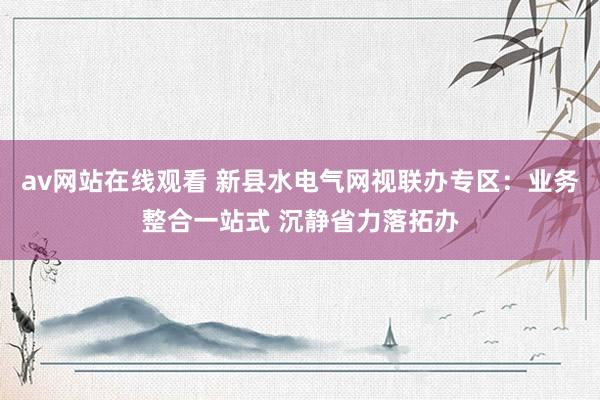 av网站在线观看 新县水电气网视联办专区：业务整合一站式 沉静省力落拓办