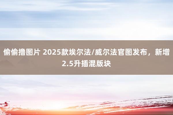 偷偷撸图片 2025款埃尔法/威尔法官图发布，新增2.5升插混版块