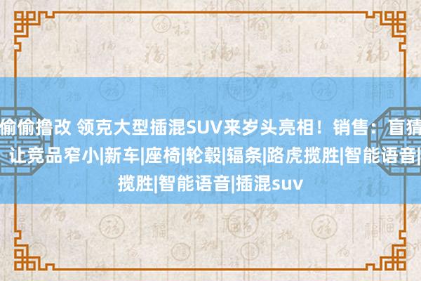 偷偷撸改 领克大型插混SUV来岁头亮相！销售：盲猜28万起，让竞品窄小|新车|座椅|轮毂|辐条|路虎揽胜|智能语音|插混suv