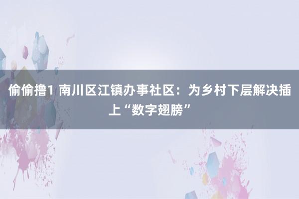 偷偷撸1 南川区江镇办事社区：为乡村下层解决插上“数字翅膀”